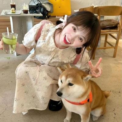 你的太阳